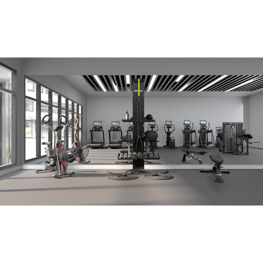 Precor BFT7950 Functional Trainer Post
