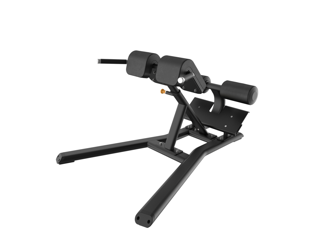 Precor VBR6312 Vitality™ Strength Back Extension