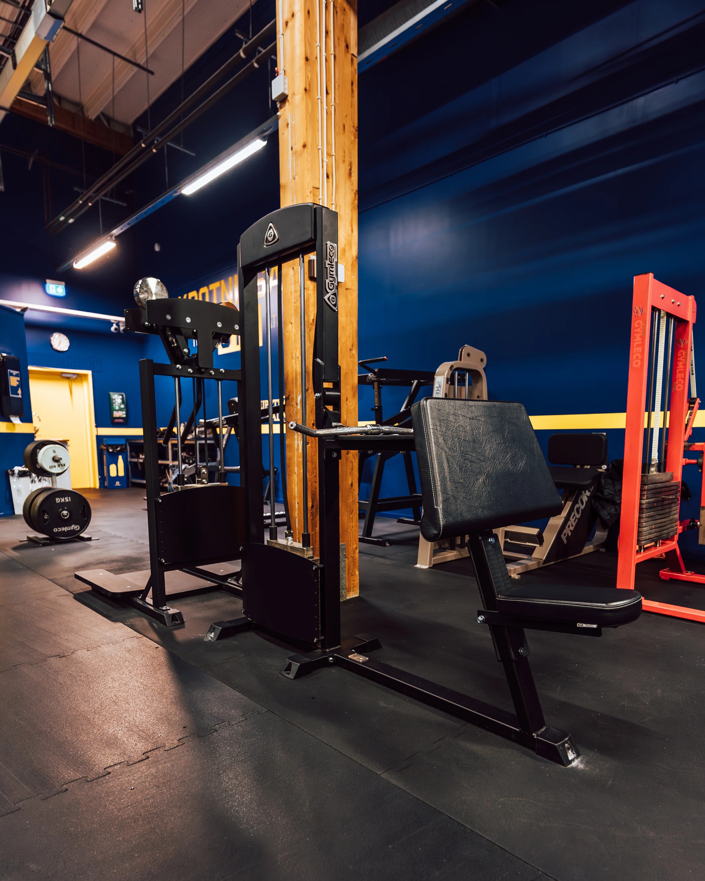 Gymleco 255 Biceps Curl / Triceps Extension