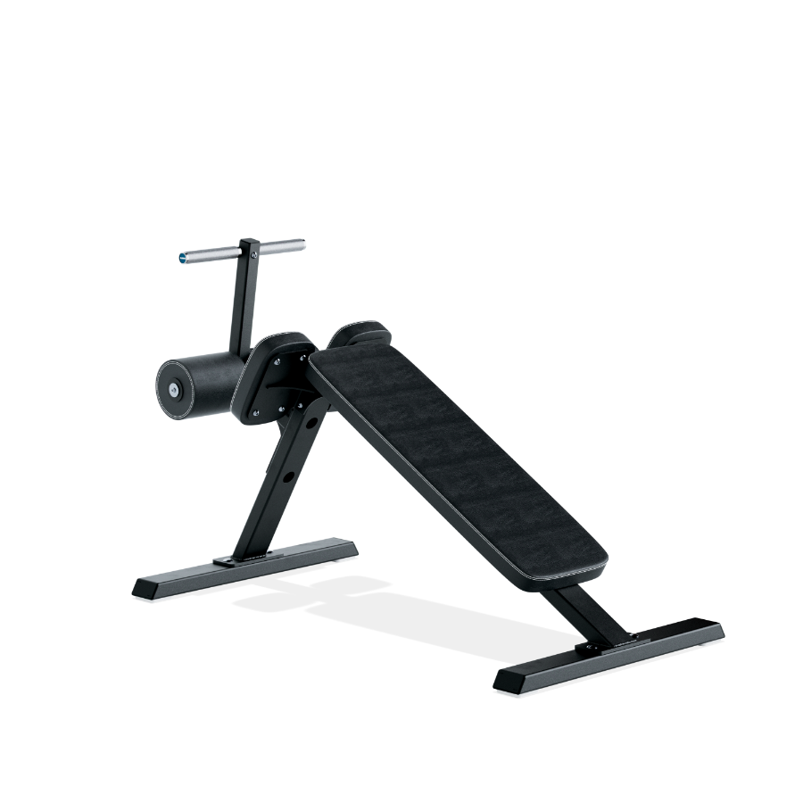 Eleiko Sit Up Bench