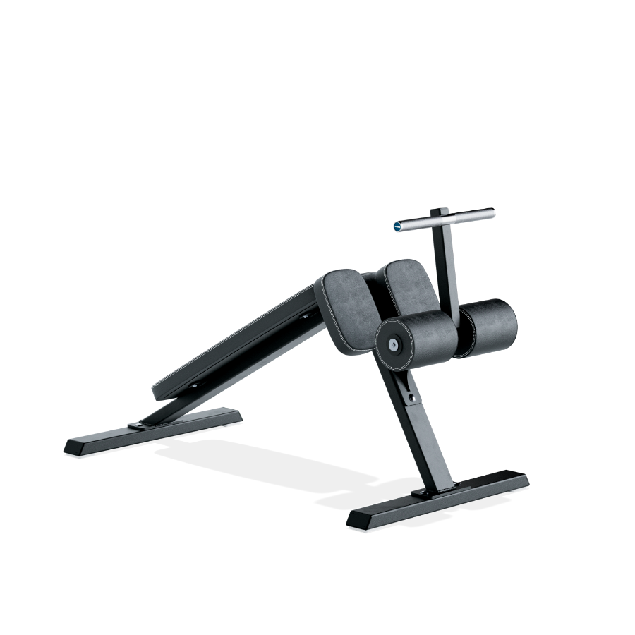 Eleiko Sit Up Bench