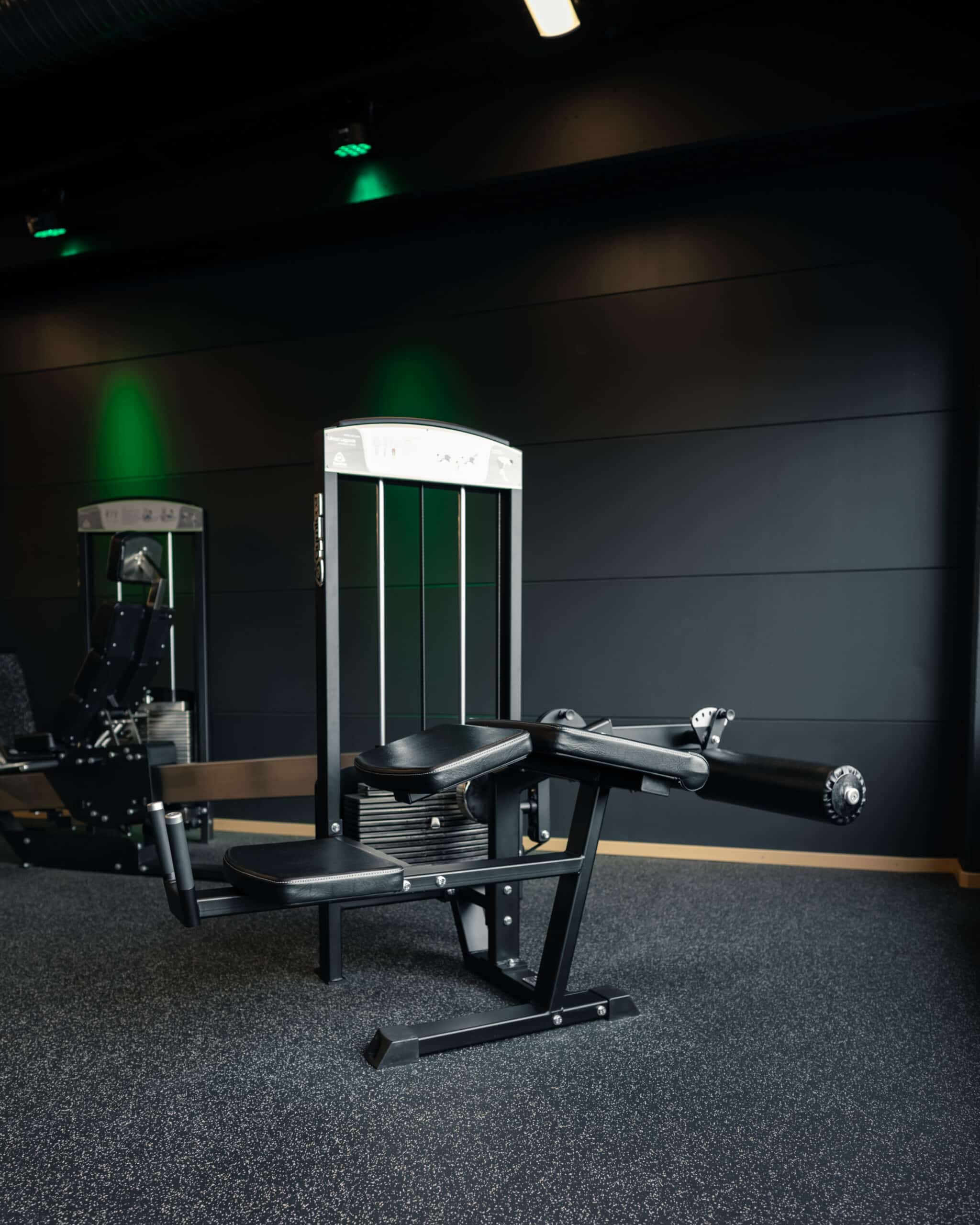 Gymleco 342R Lying Leg Curl (Adjustable)