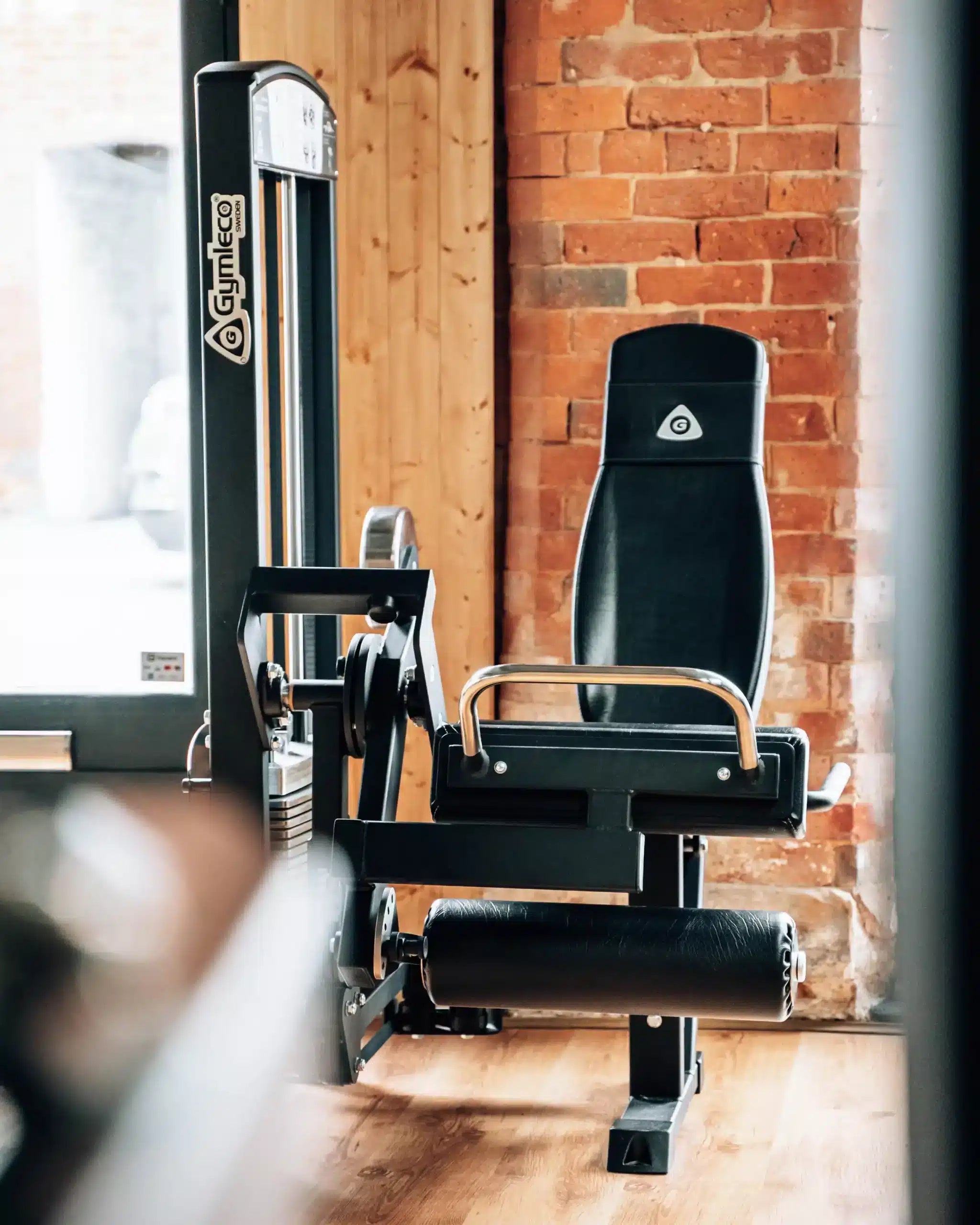 Gymleco 349 Leg Extension / Leg Curl
