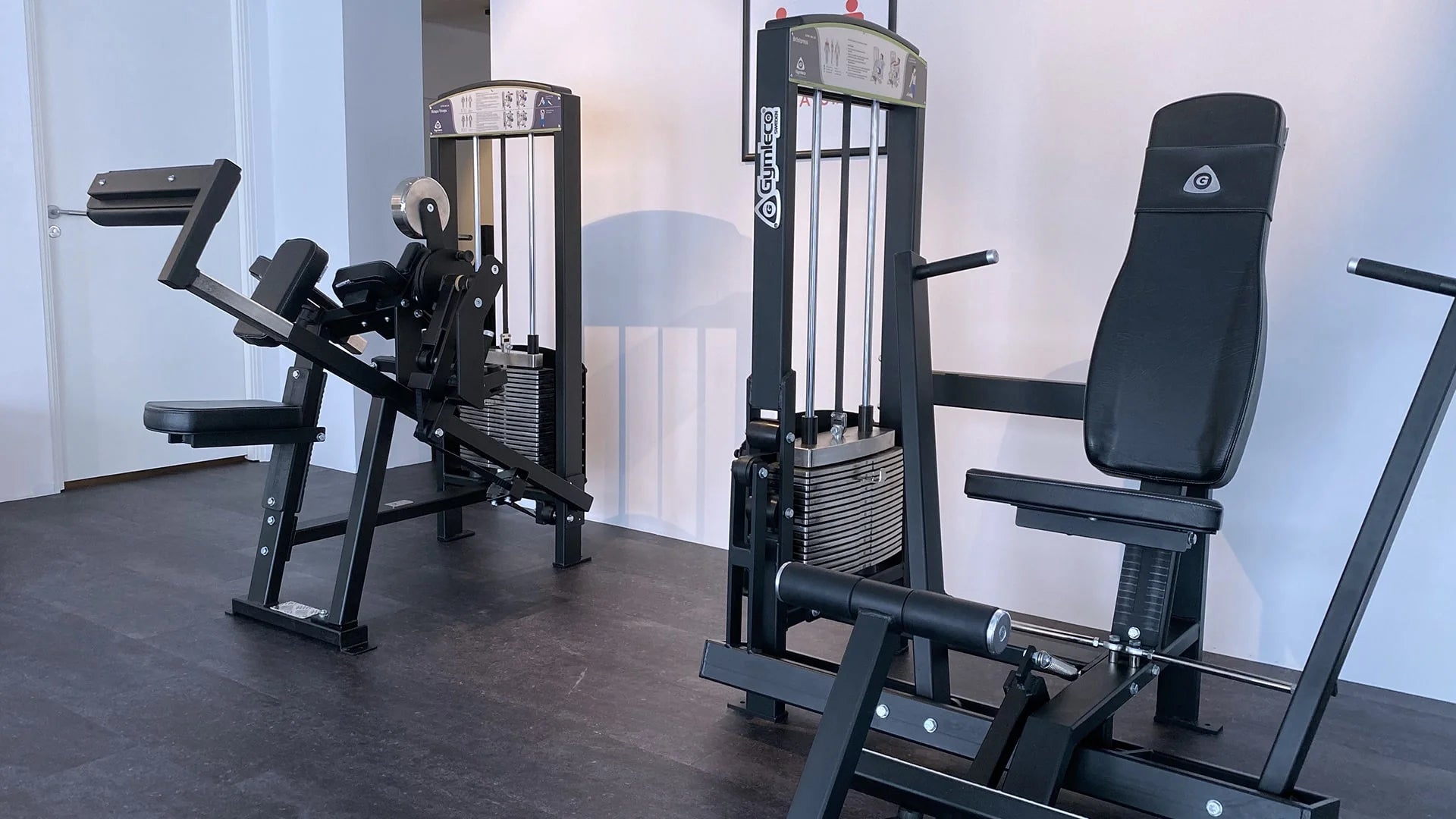 Gymleco 355 Biceps / Triceps