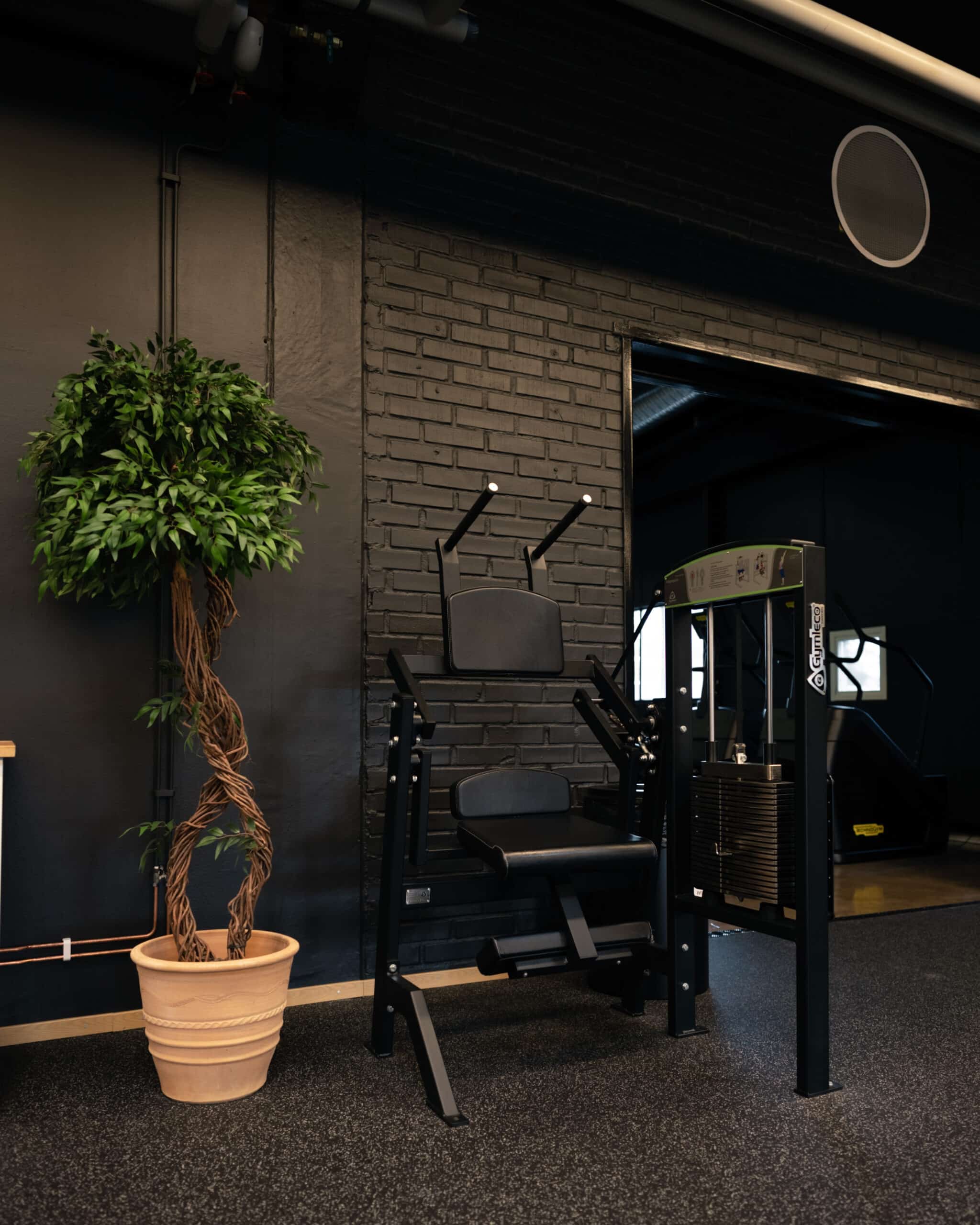 Gymleco 370 Seated Abs Machine