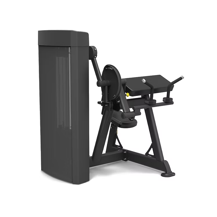 Spirit Fitness SP-4607 Biceps Curl / Triceps Extension