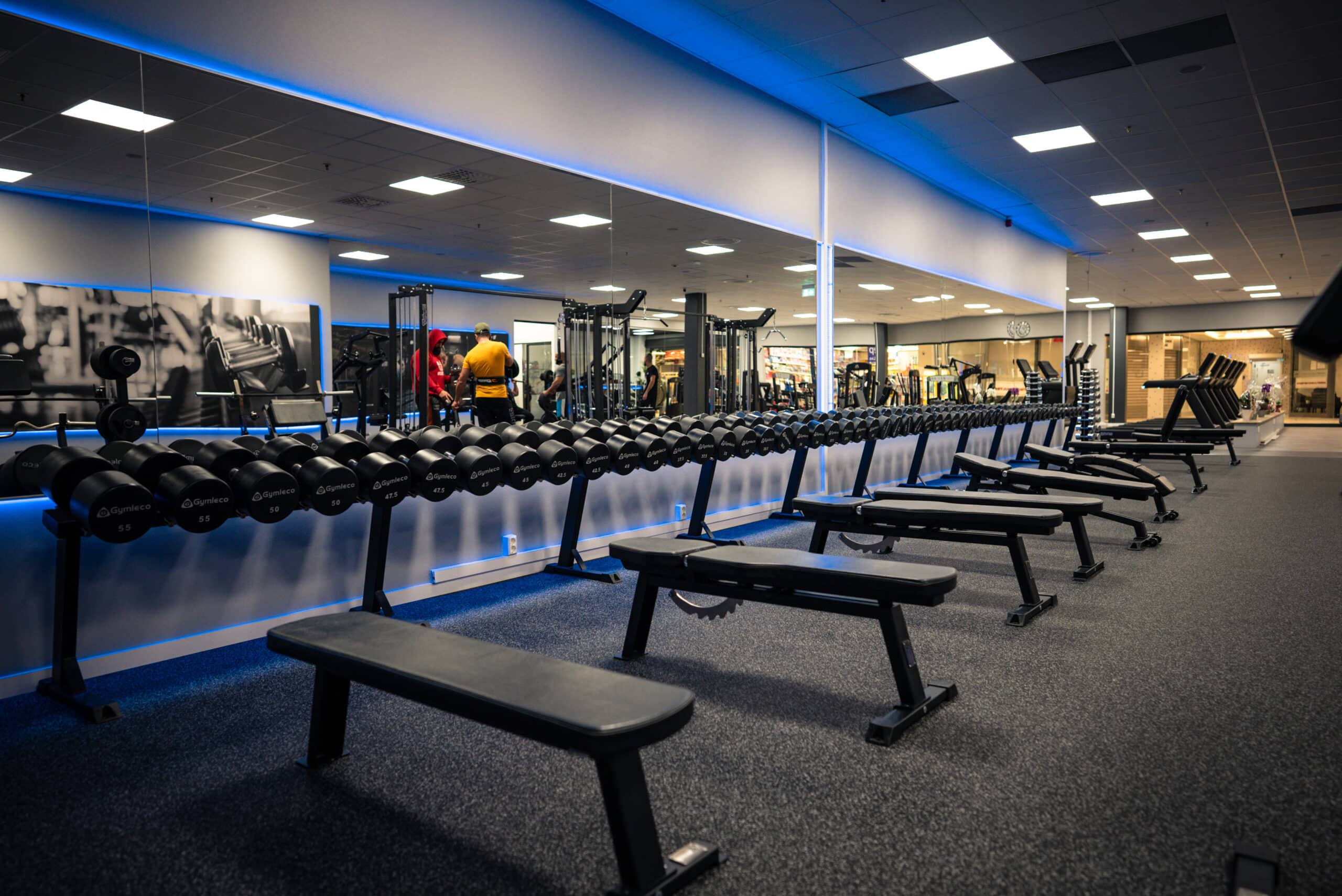 Gymleco 191 Fixed Flat Bench