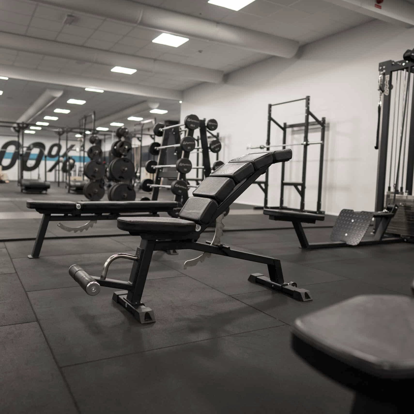 Gymleco 193S Adjustable Decline Bench Curved