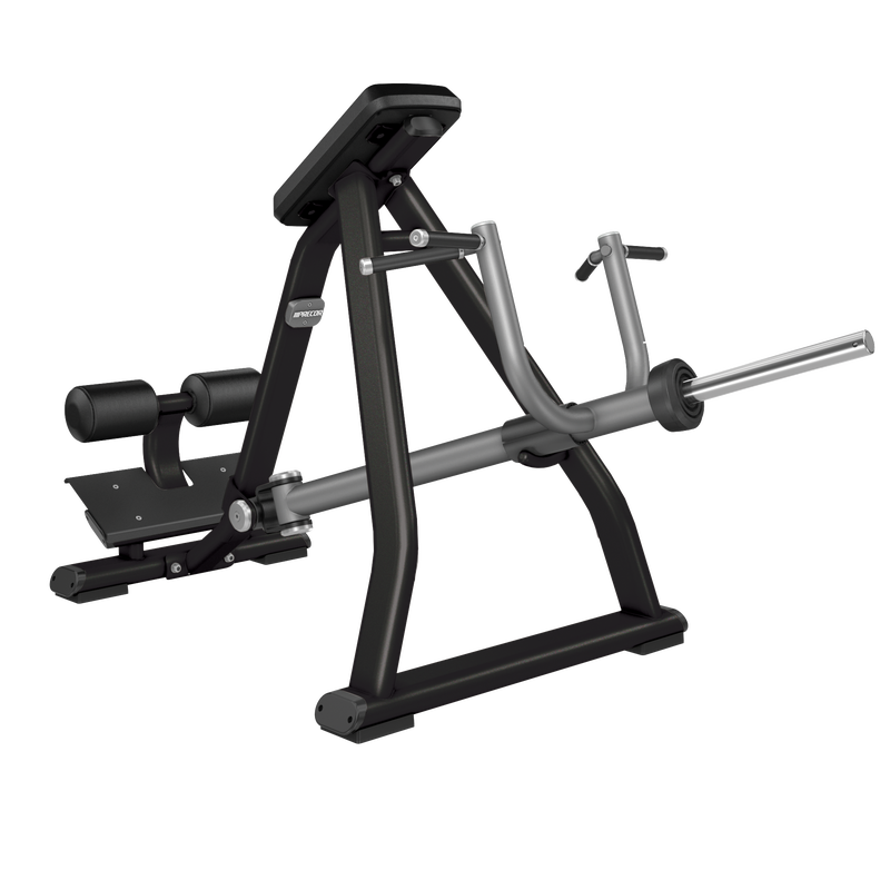 Precor DPL0311 Discovery™ Strength Incline Lever Row