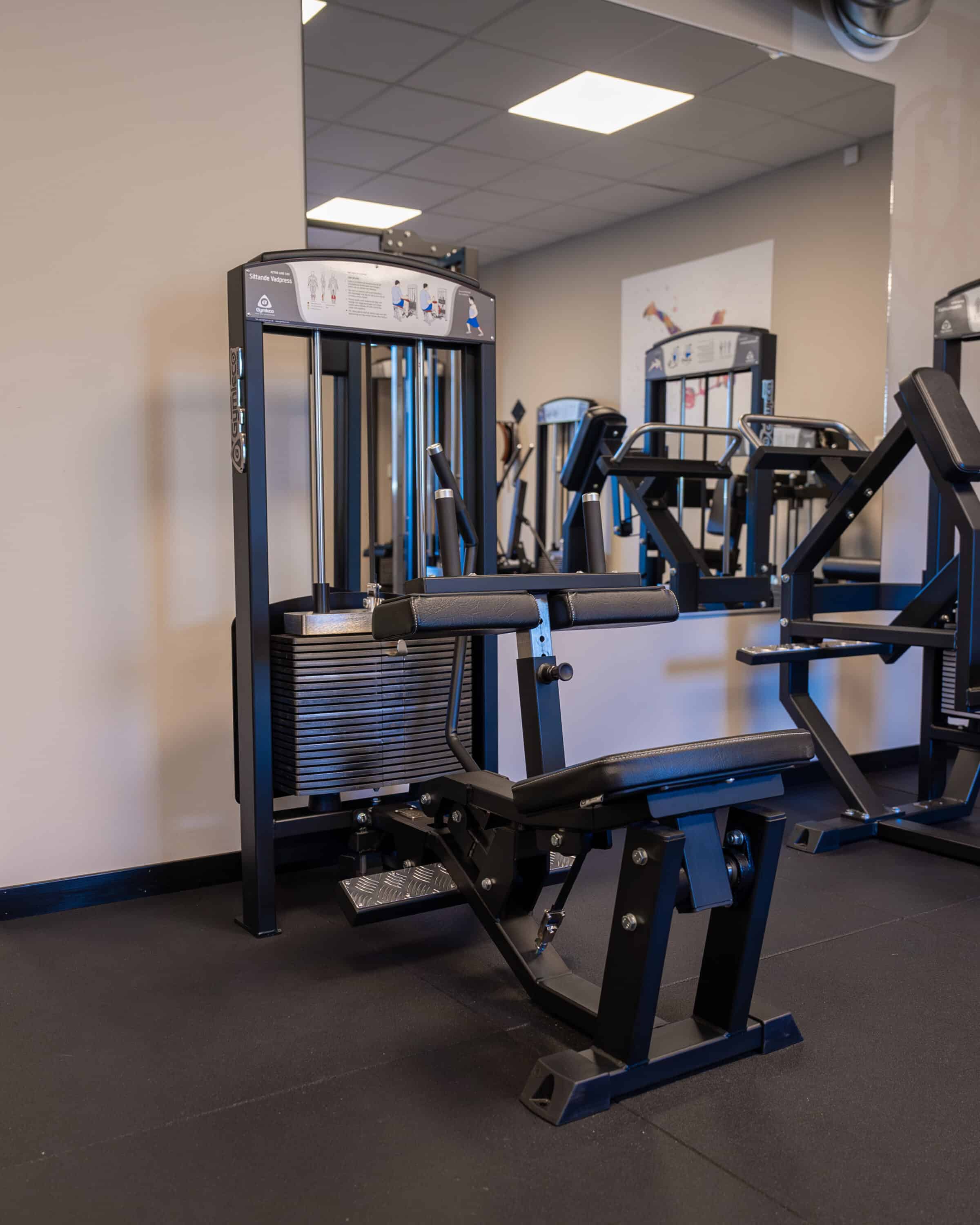 Gymleco 345 Seated Calf Press