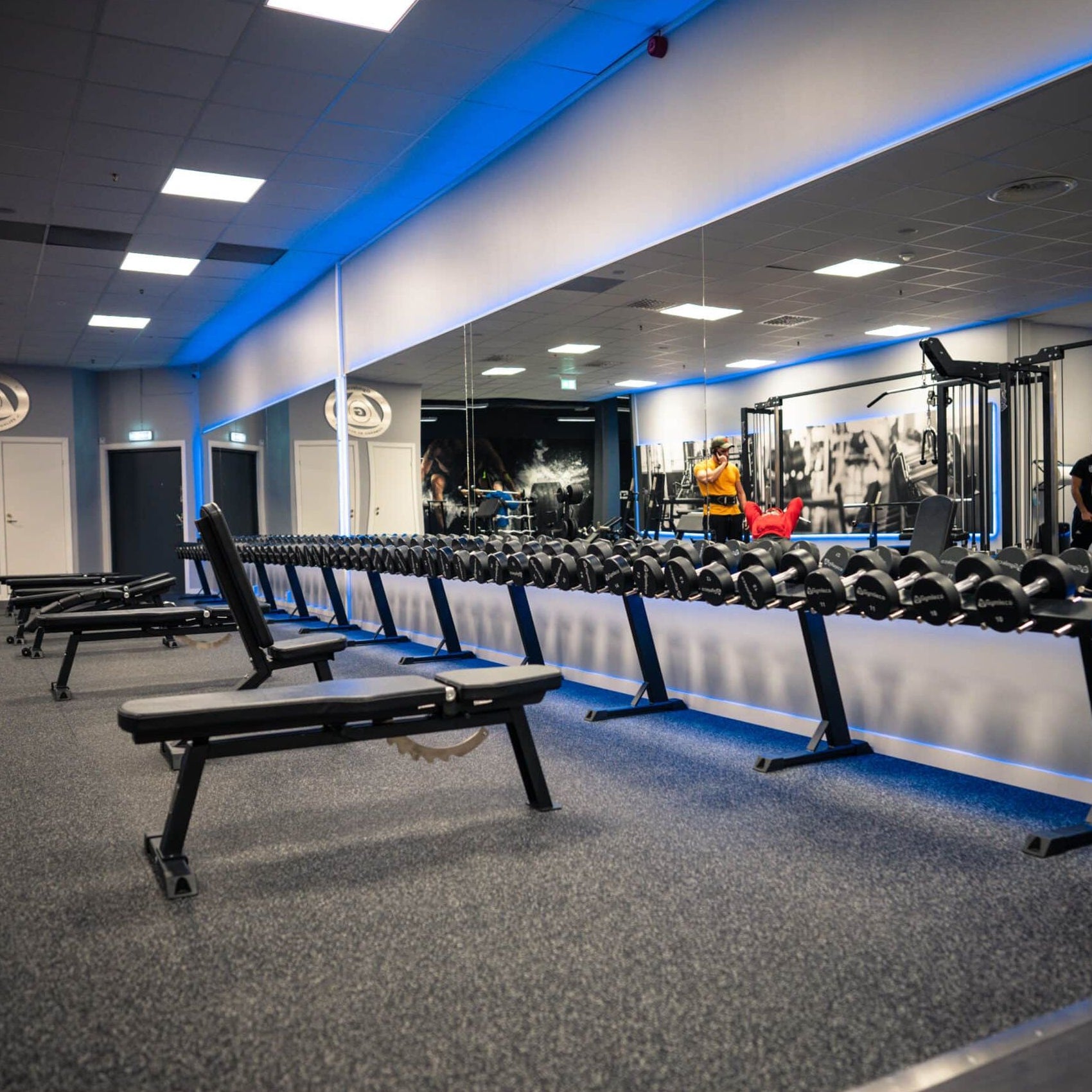 Gymleco 70° Fixed Angle Press Bench