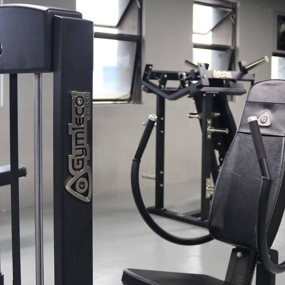 Gymleco Triceps Extension Machine
