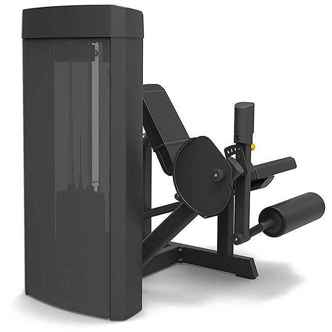 Spirit Fitness Leg Extension