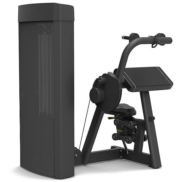 Spirit Fitness Triceps Extension
