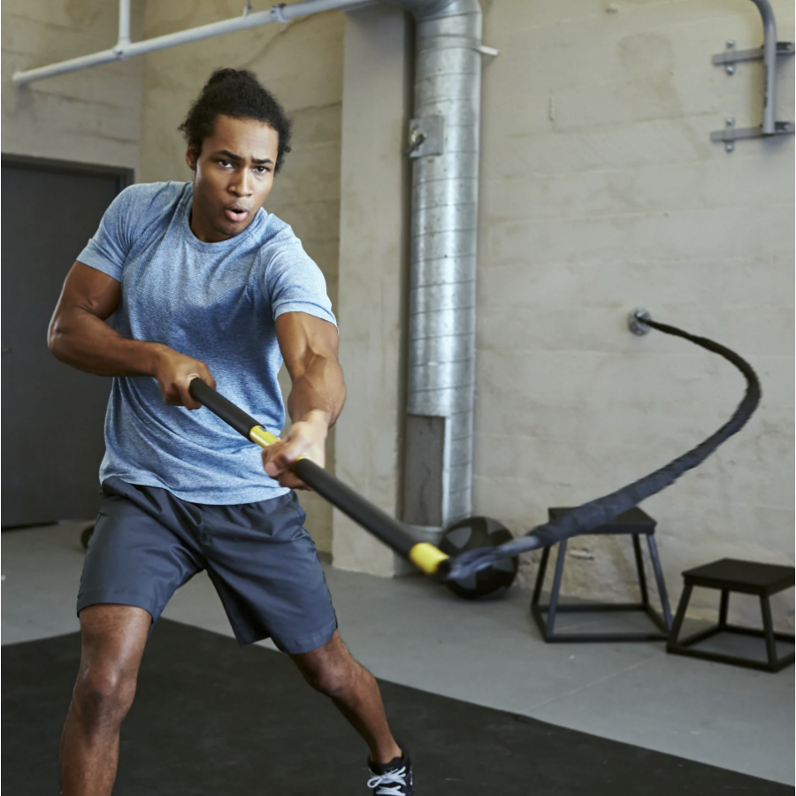 Trx RIP Trainer