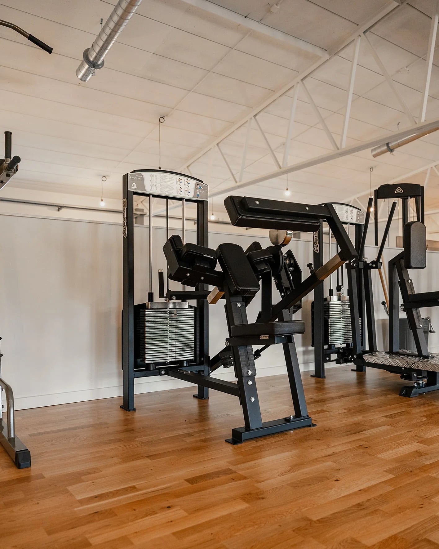 Gymleco 355 Biceps / Triceps