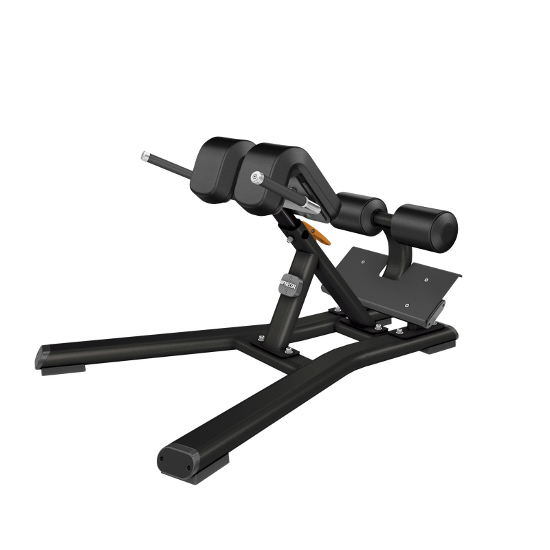 Precor DBR0312 Discovery™ Strength Back Extension