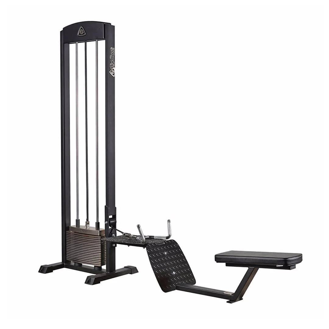 Gymleco 210 Seated Row Machine