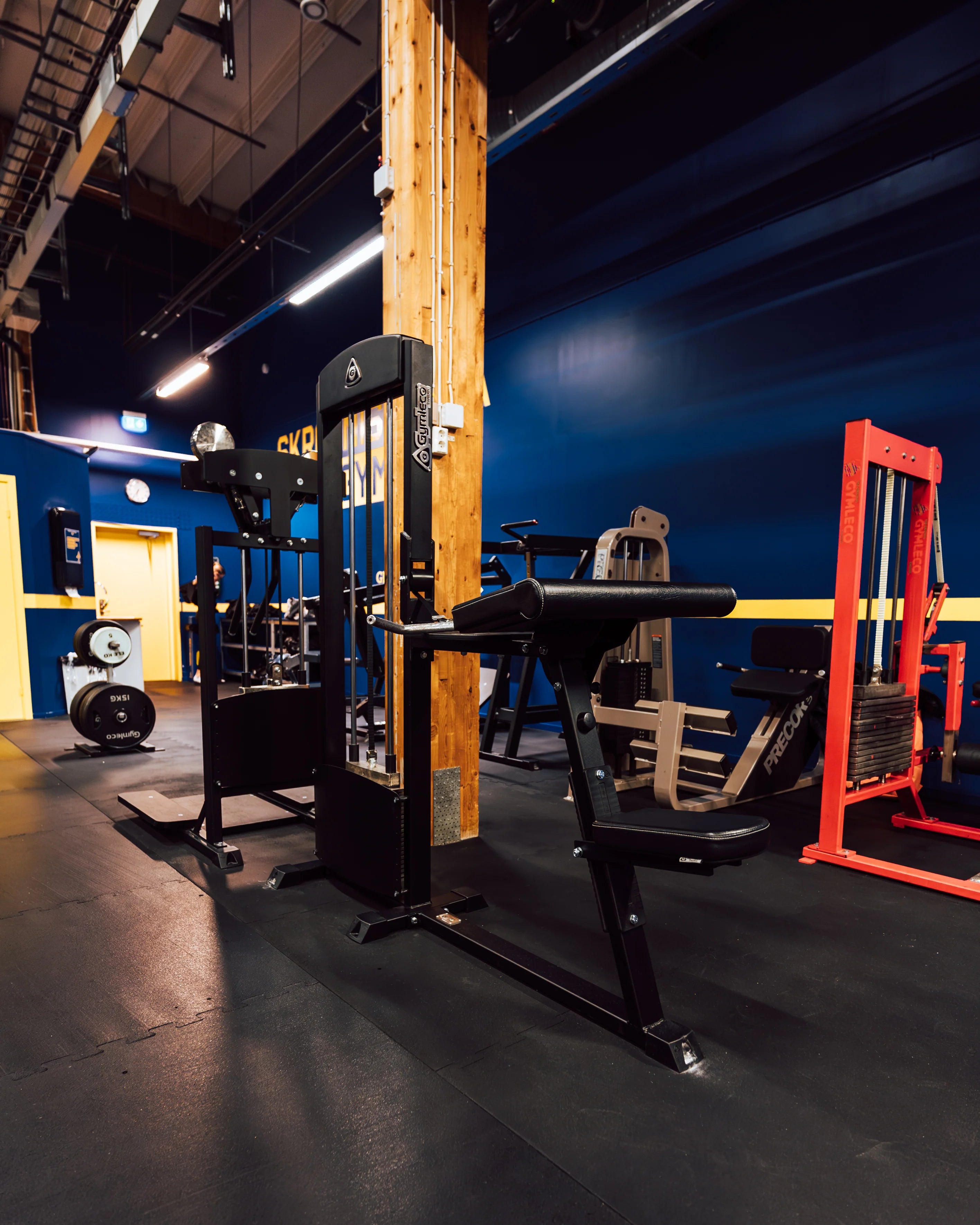 Gymleco 255 Biceps Curl / Triceps Extension