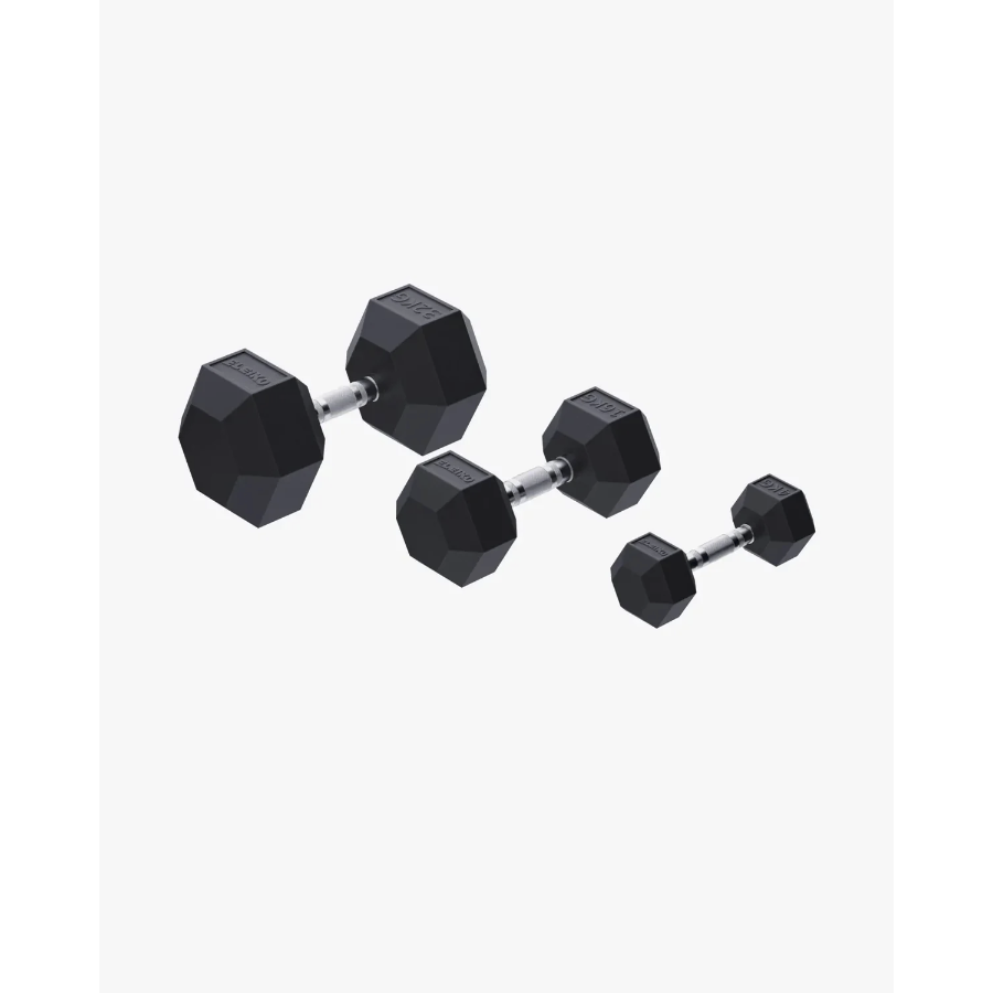 Eleiko XF Dumbbell 1 Kg - 40 Kg