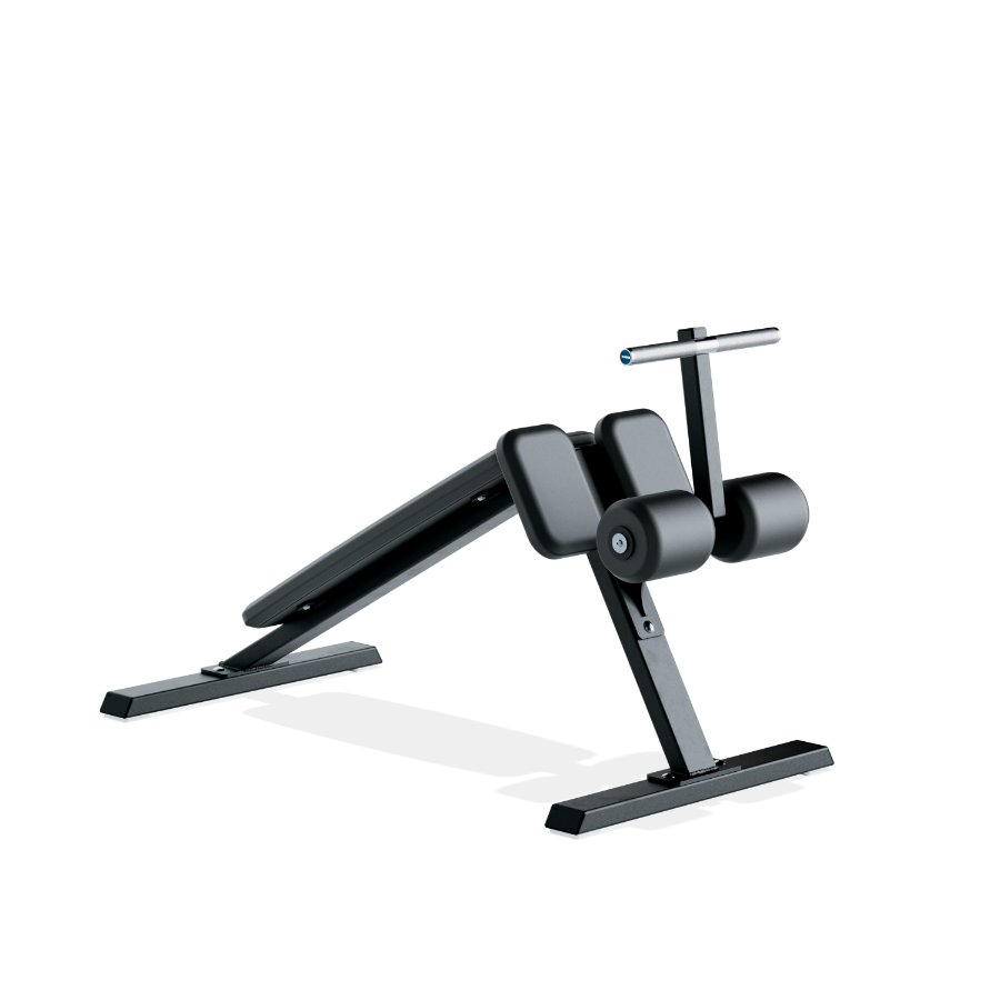 Eleiko Sit Up Bench