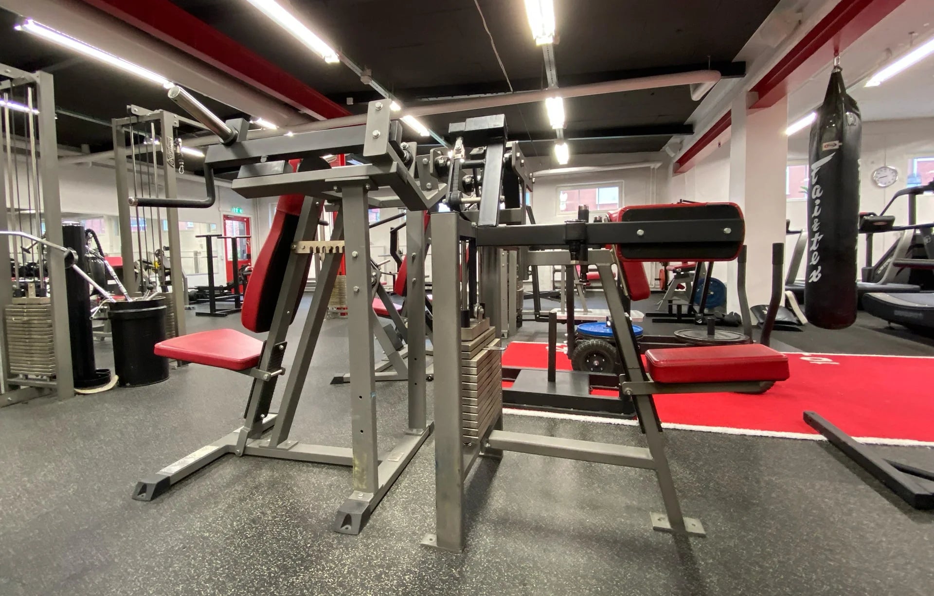 Gymleco 331 Shoulder Rotation