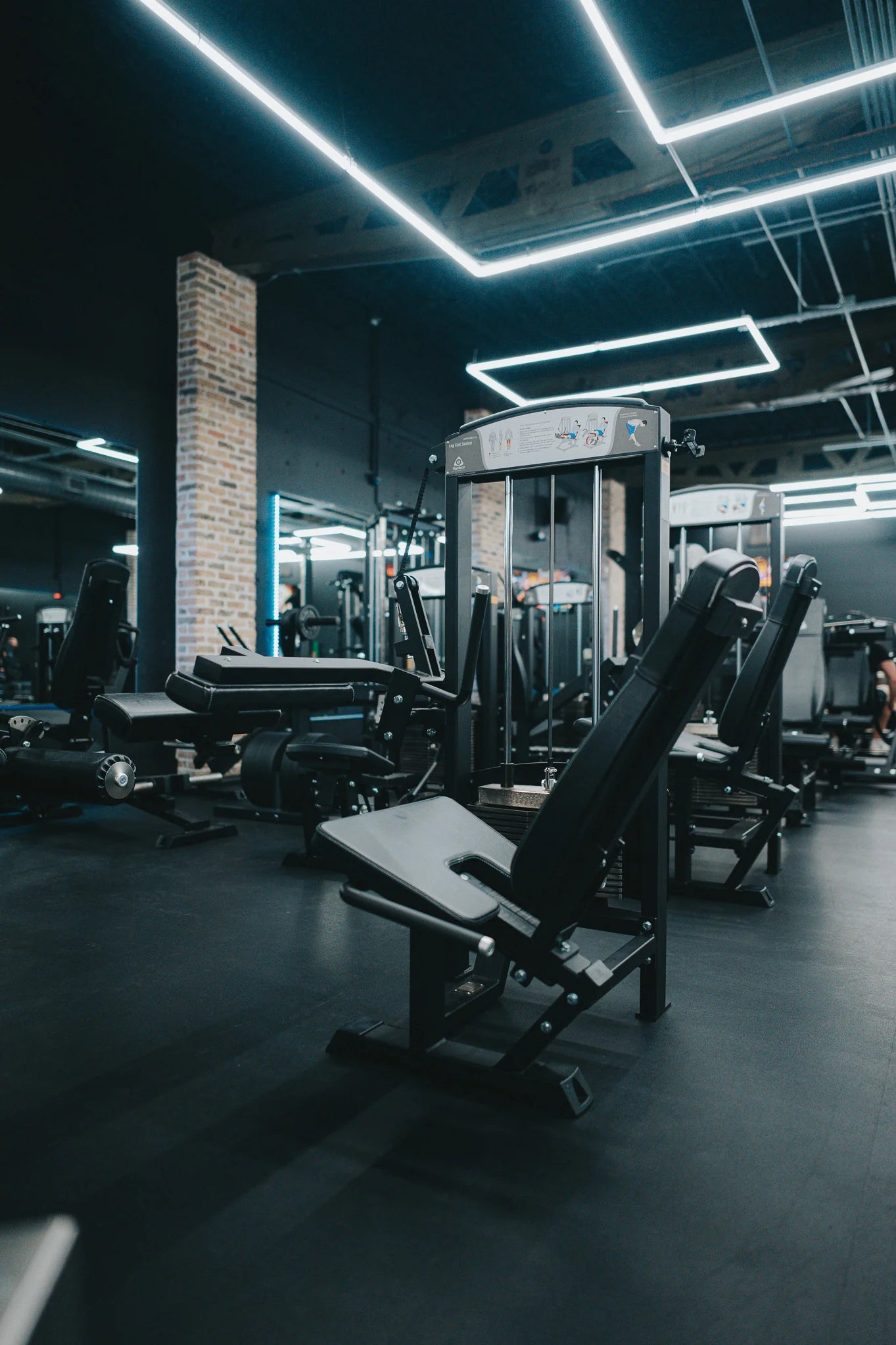 Gymleco 341 Seated Leg Curl