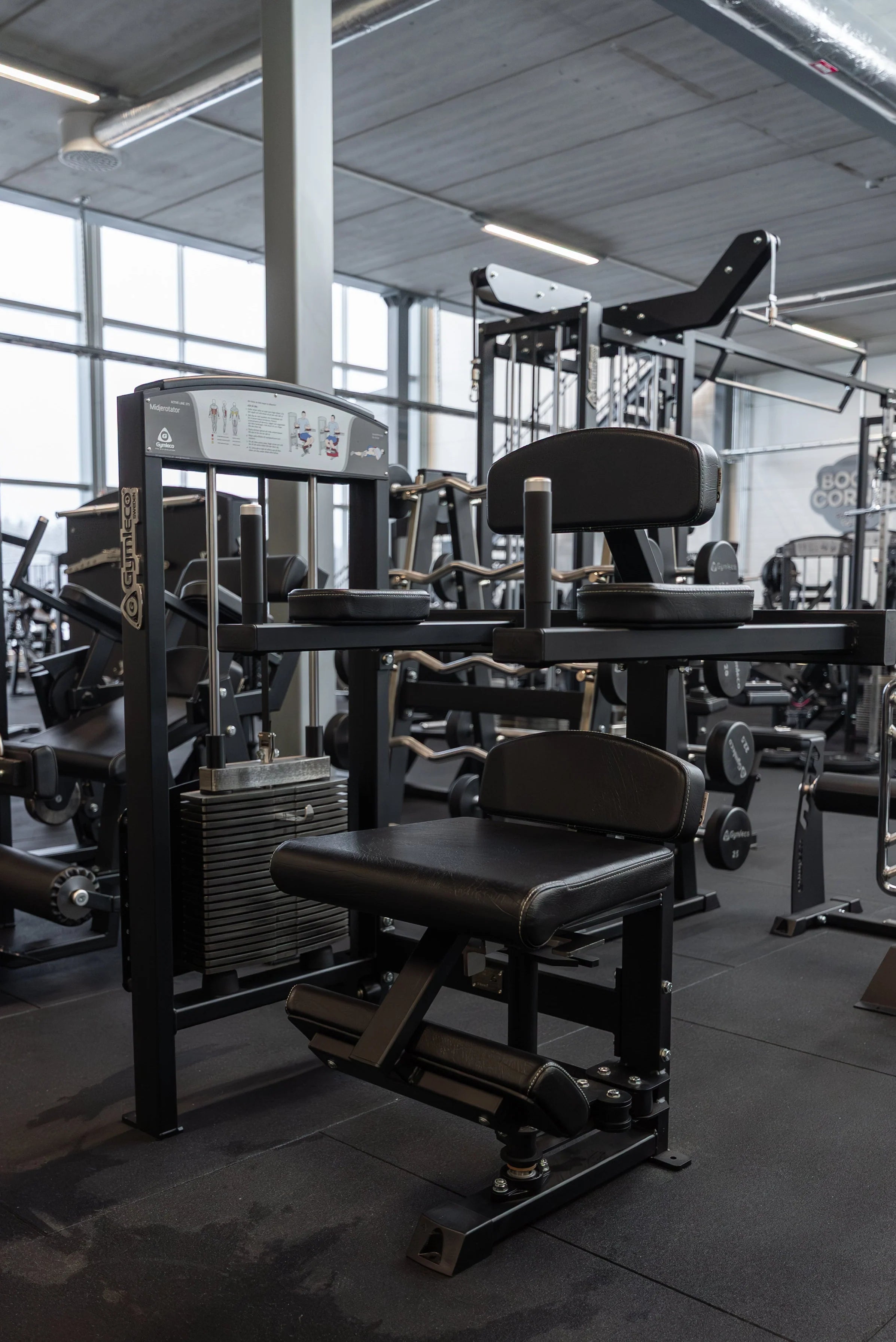 Gymleco 375 Torso Rotation