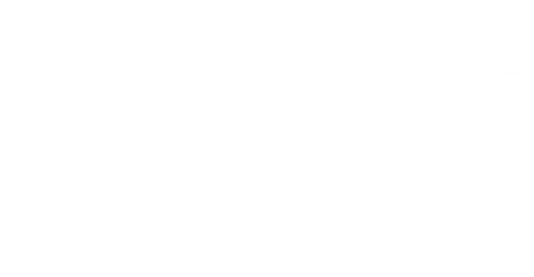 ASSAULT FITNESS