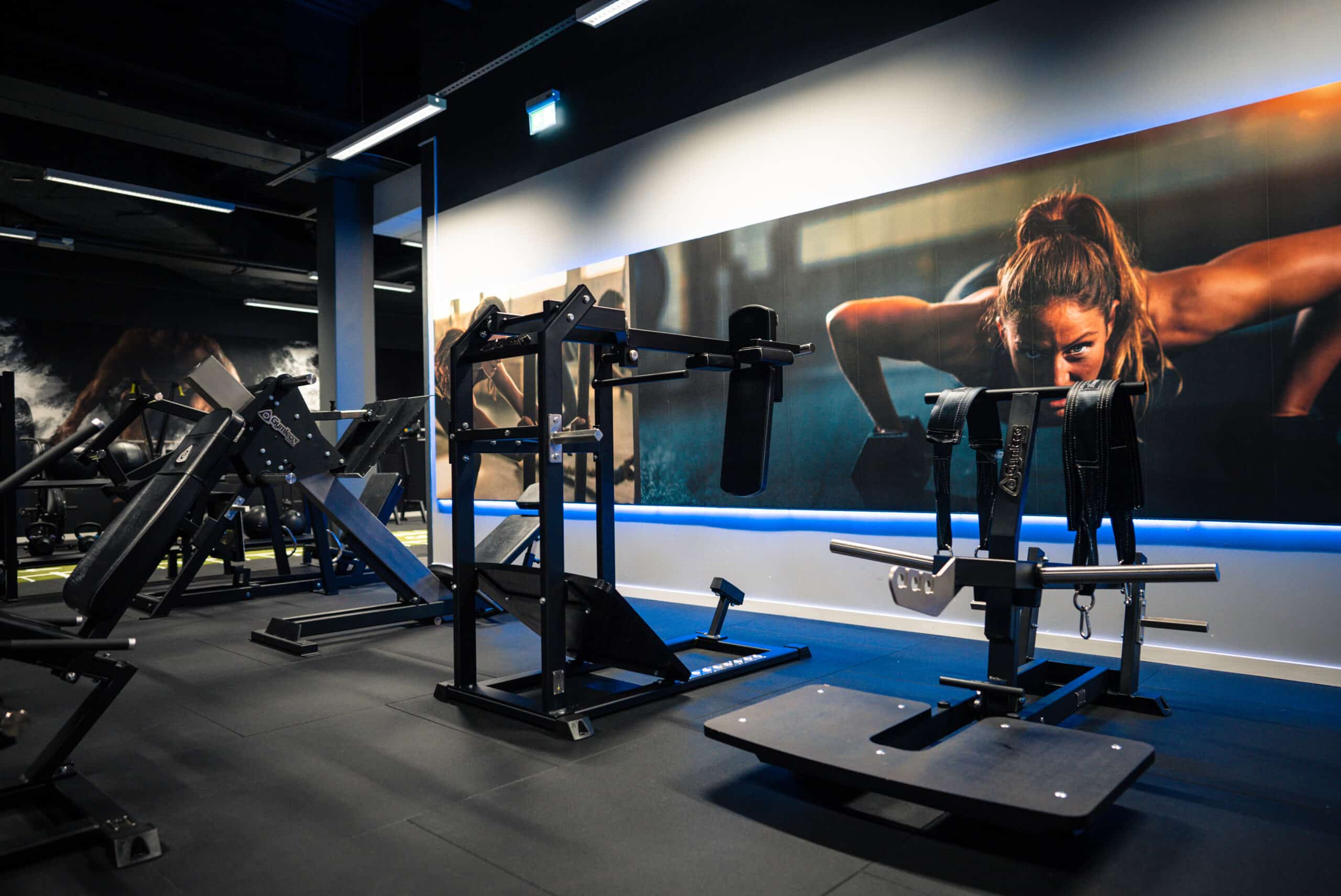 Gymleco 082 Belt Squat Machine