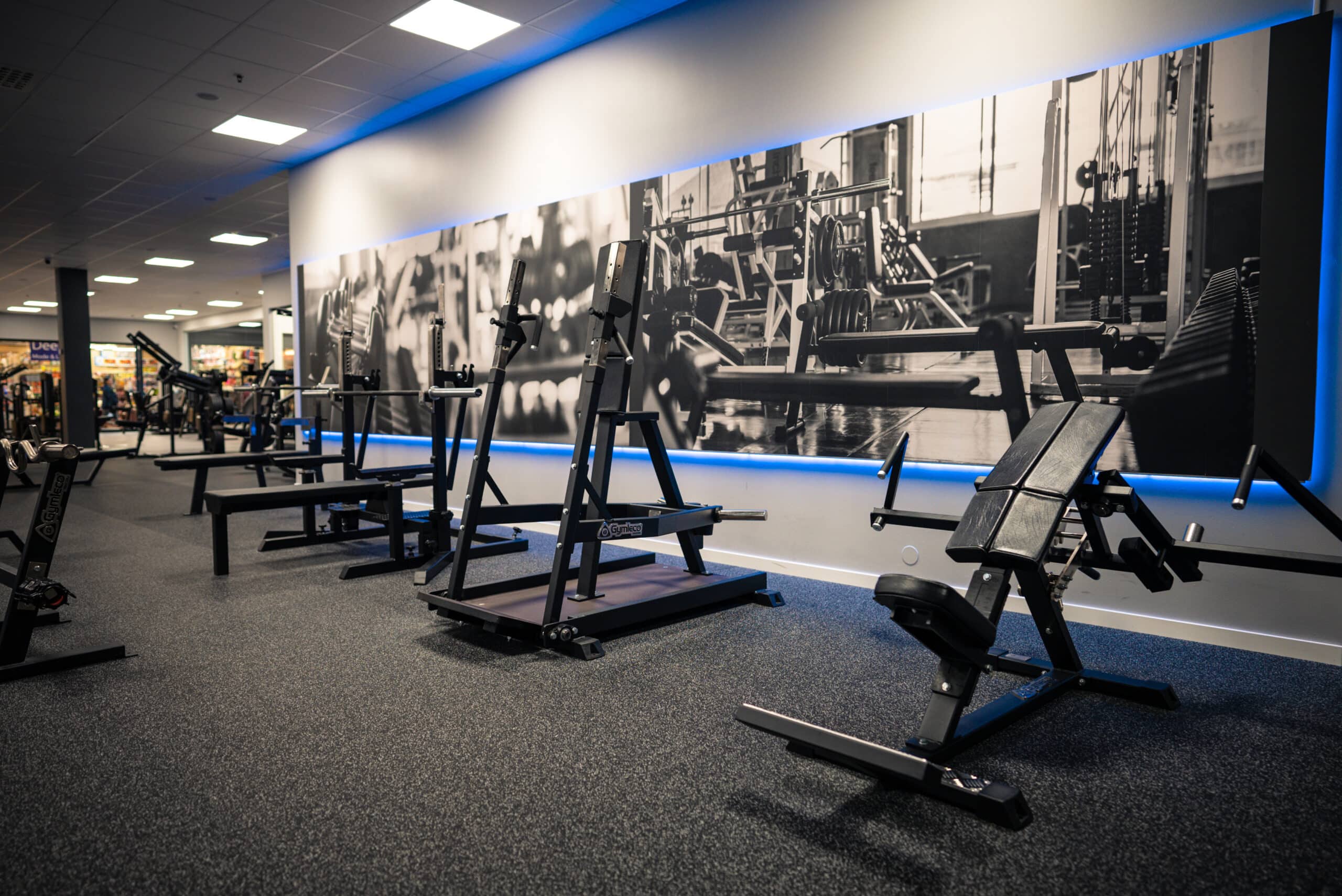 Gymleco 028 Standing Chest Press Machine