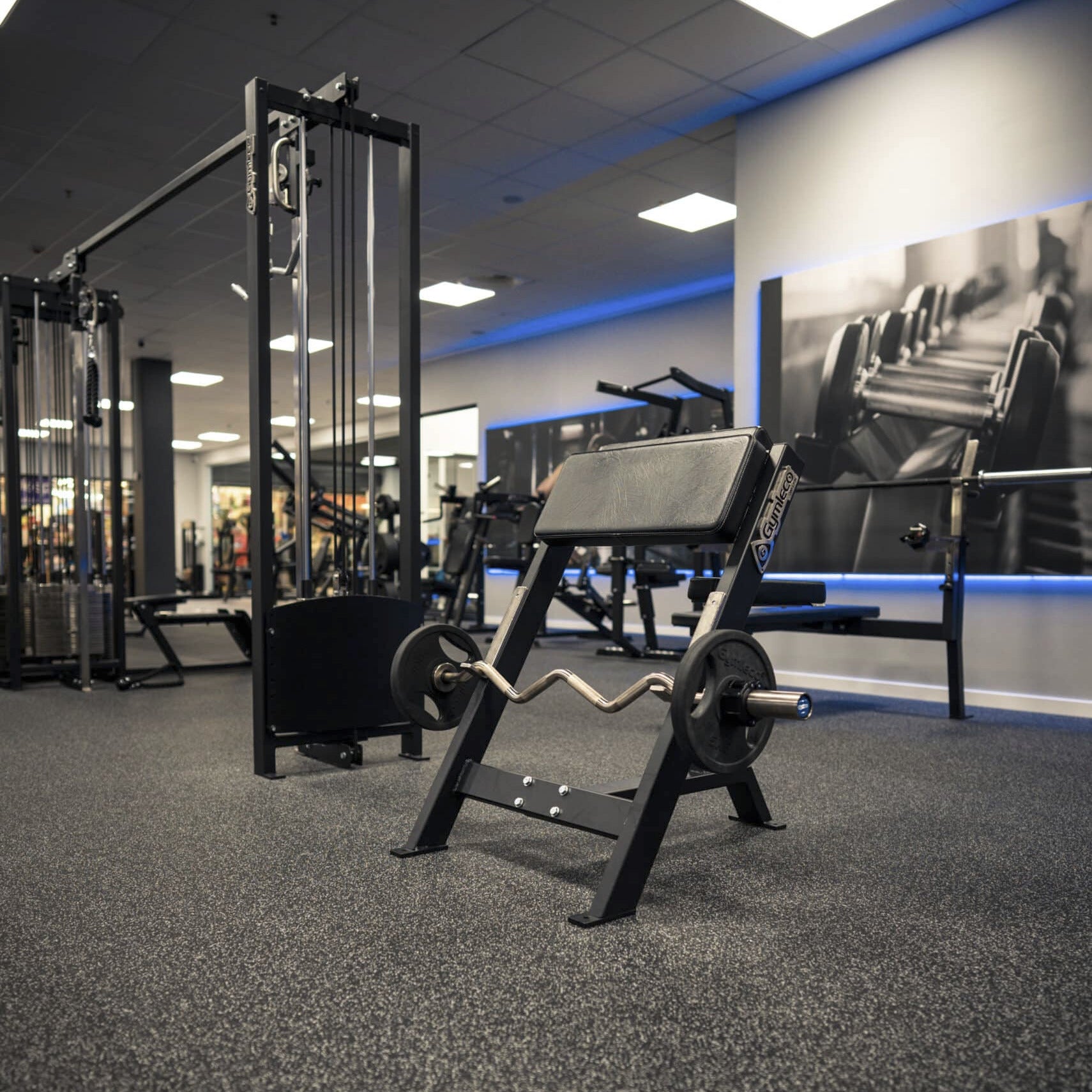 Gymleco Seated Scott Curl Bench