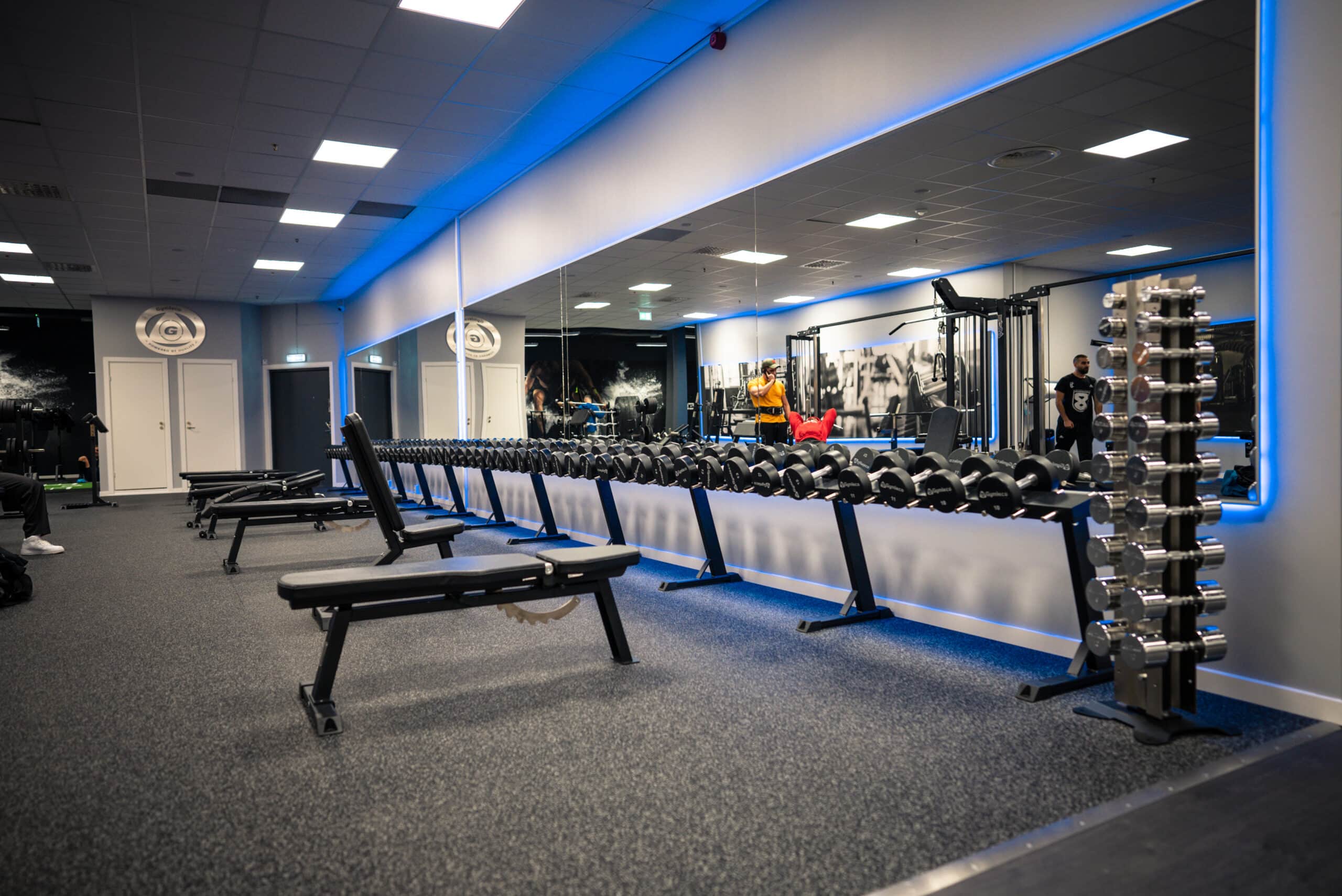 Gymleco 153 Fixed Bench 70°