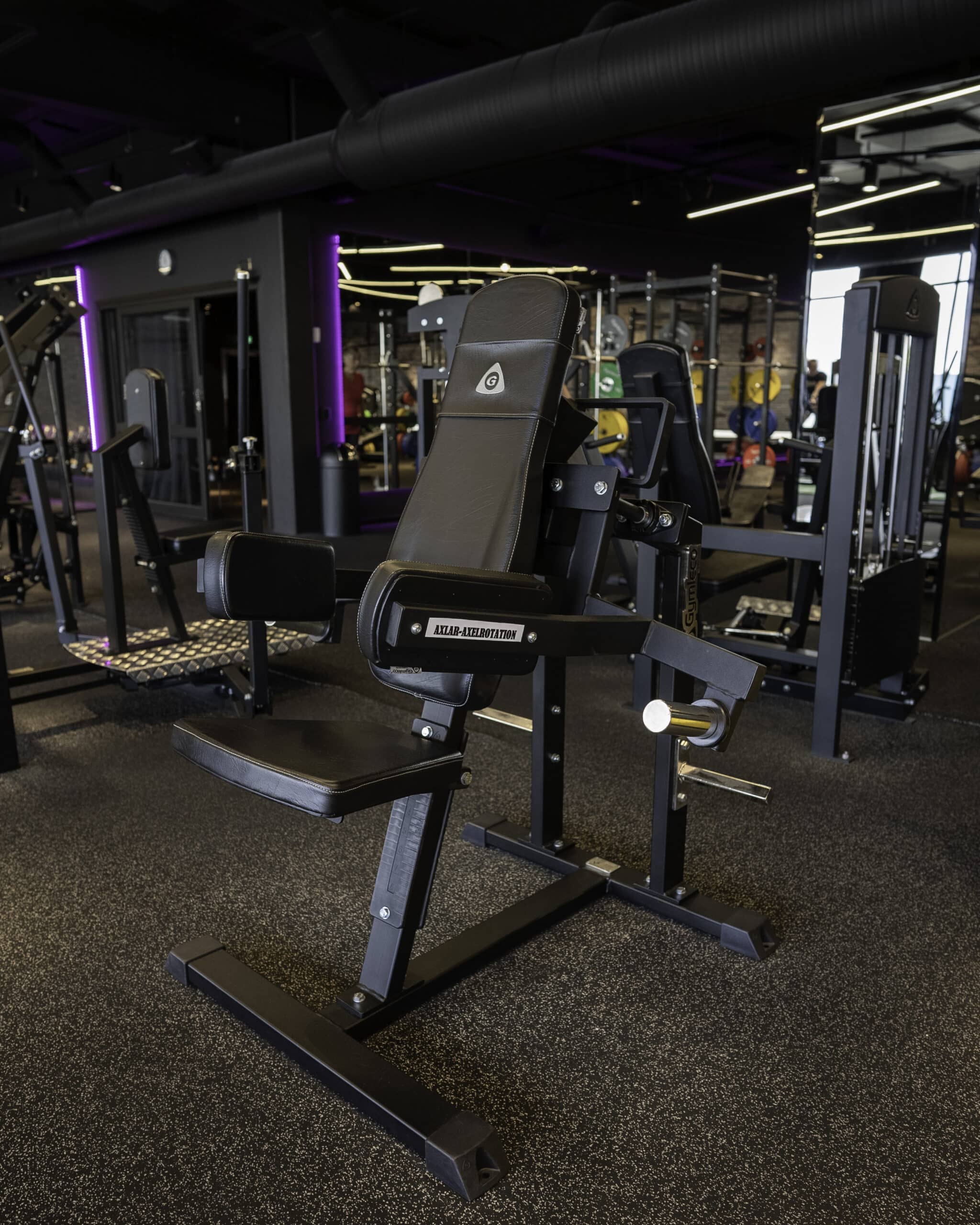 Gymleco 031 Shoulder Rotation Machine