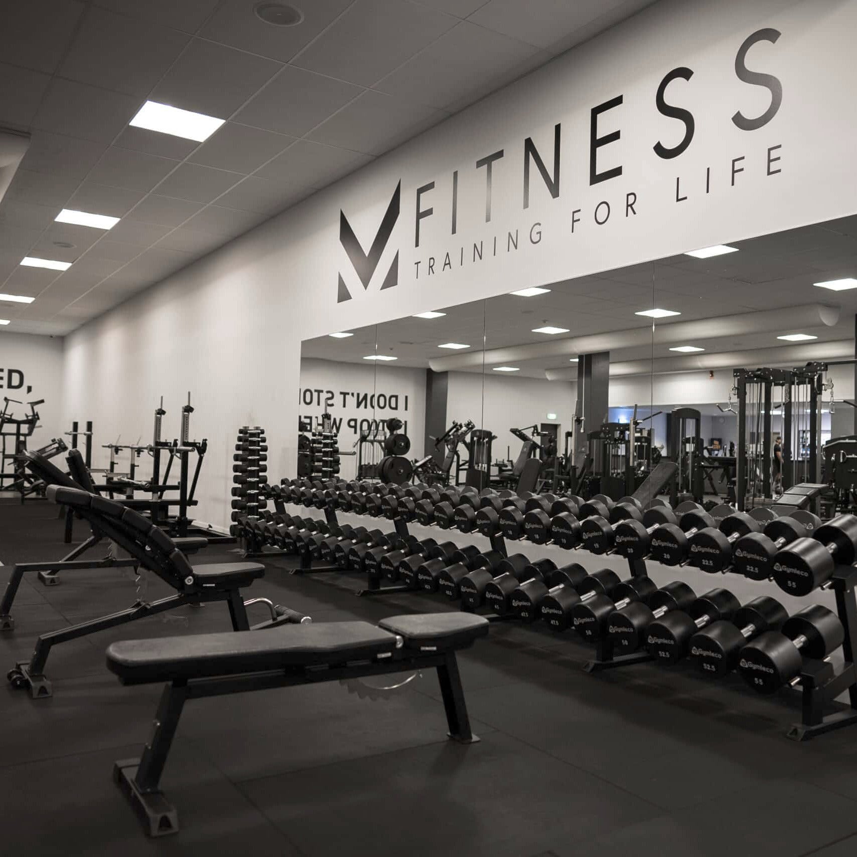Gymleco 190 Adjustable Gym Bench