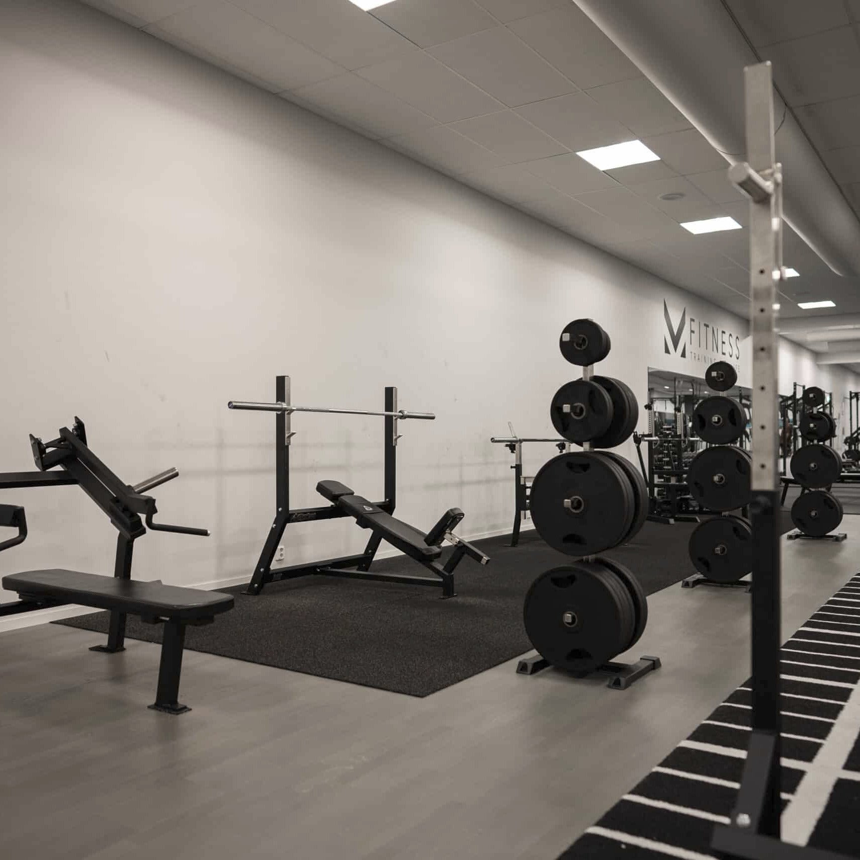 Gymleco 120 Incline Bench Press