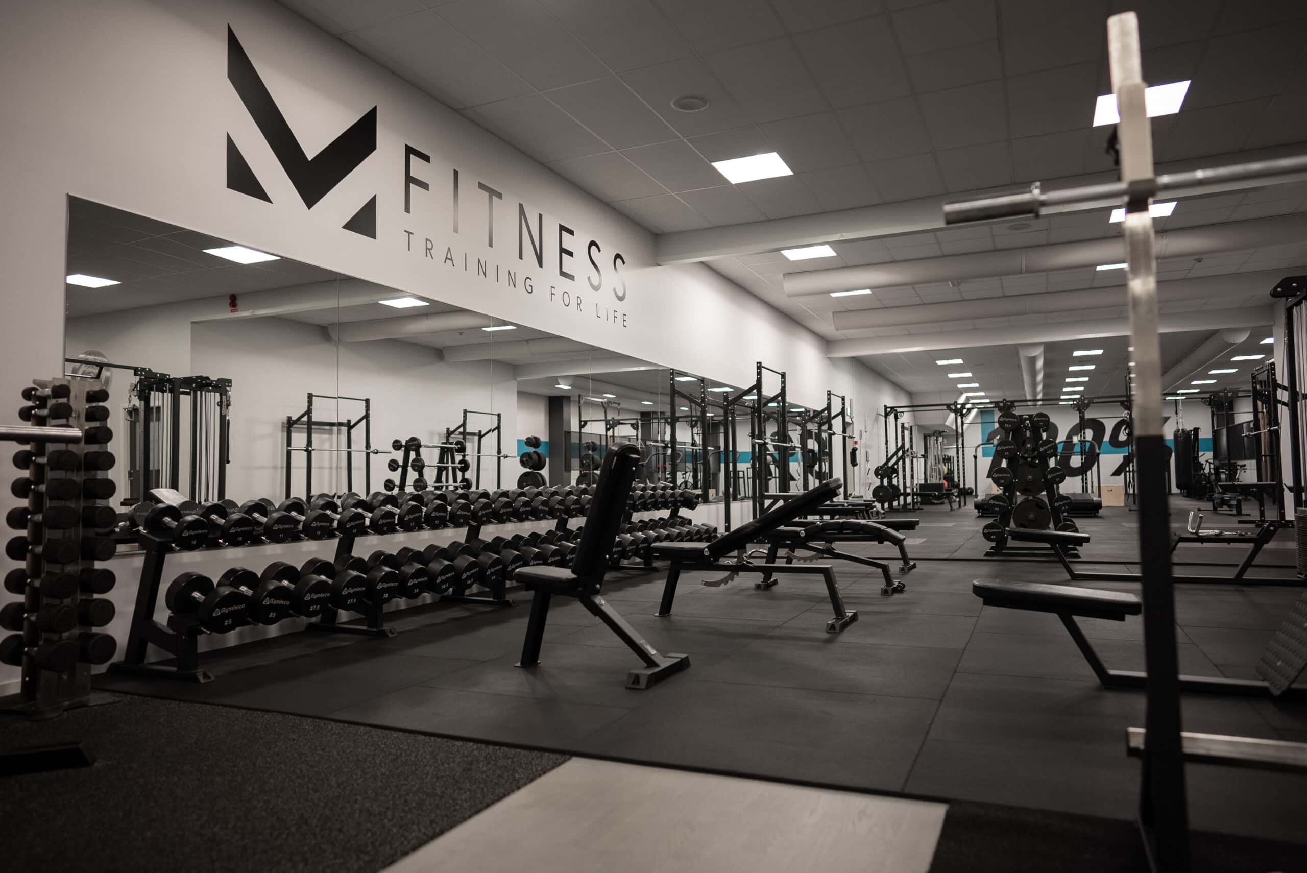 Gymleco 153 Fixed Bench 70°