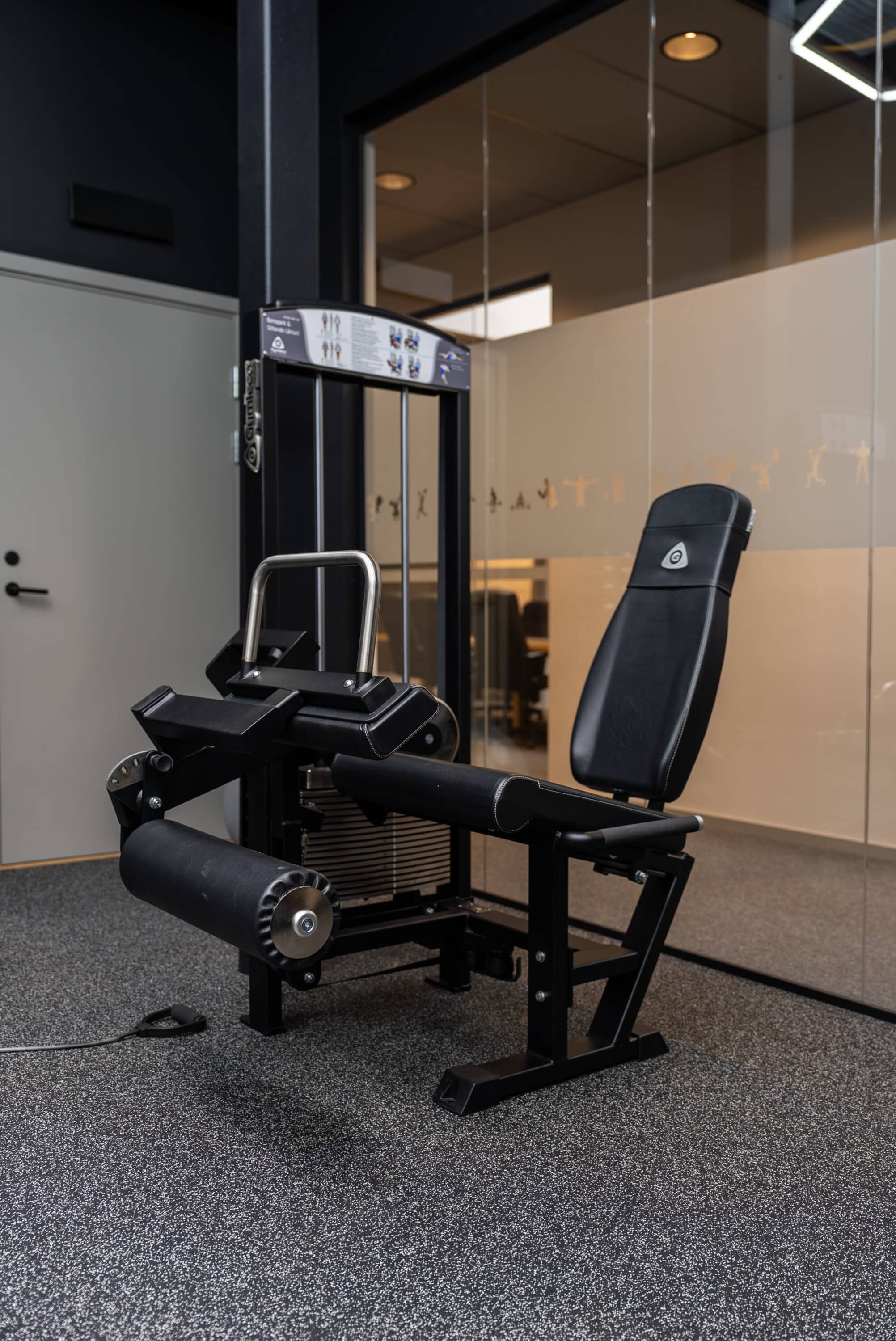 Gymleco 349 Leg Extension / Leg Curl