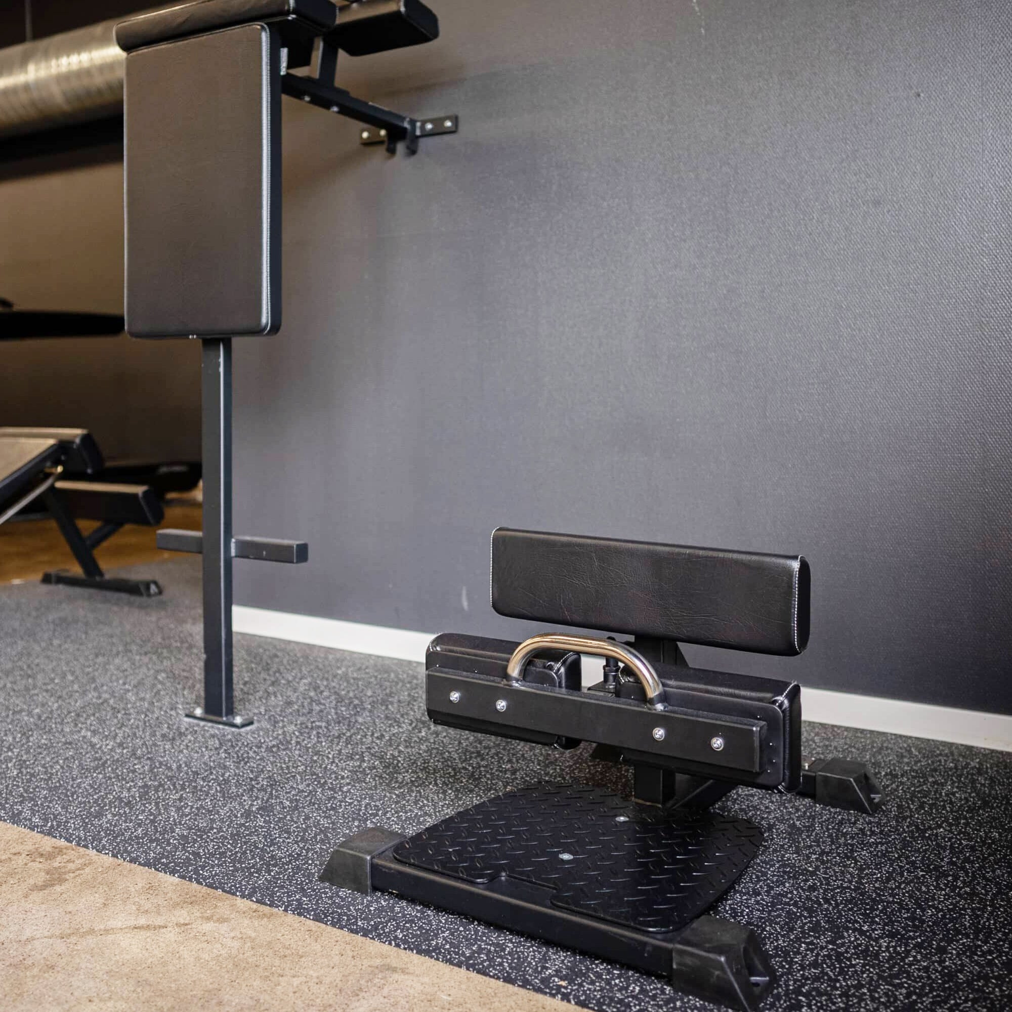Gymleco ProLeg Sissy Squat Trainer