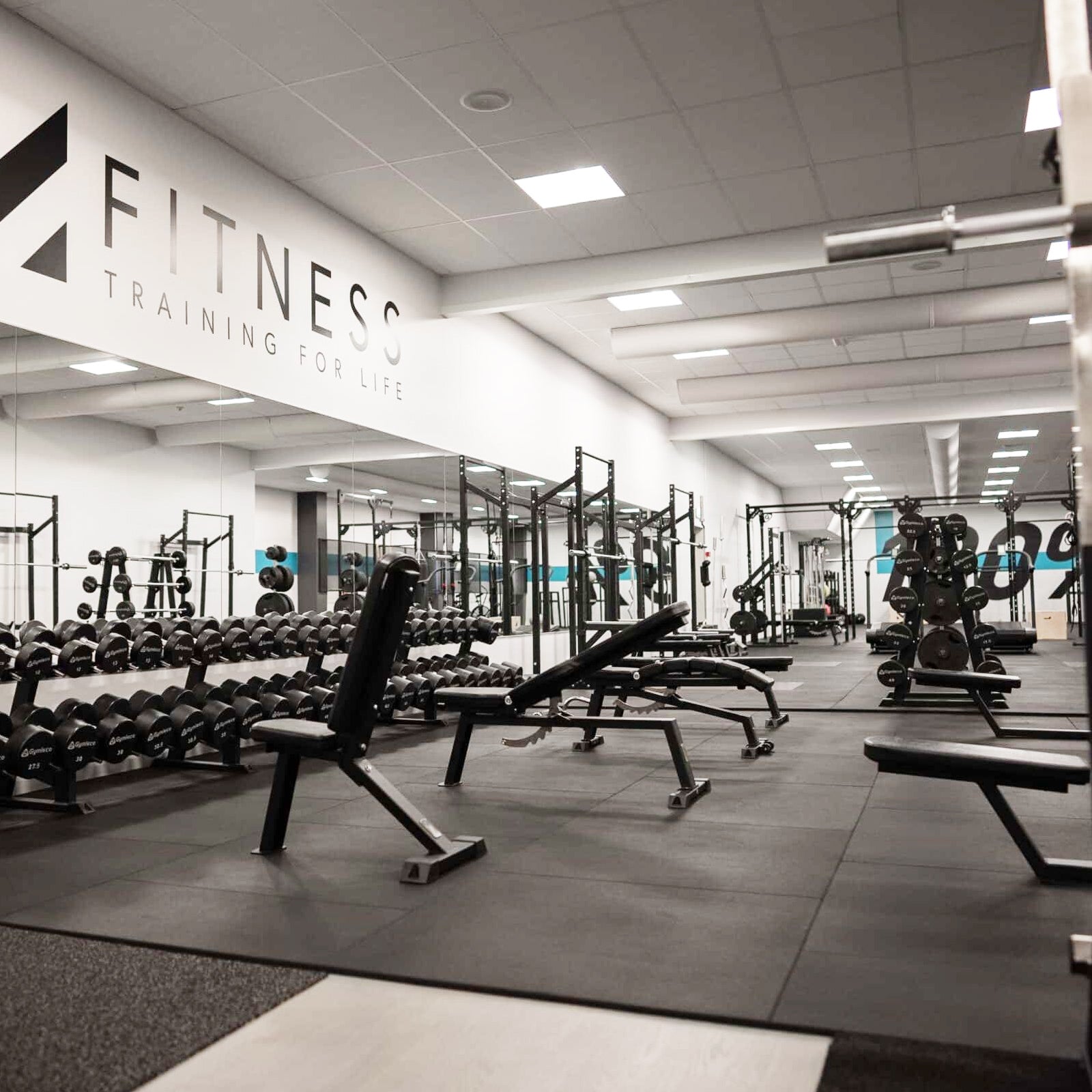 Gymleco 70° Fixed Angle Press Bench