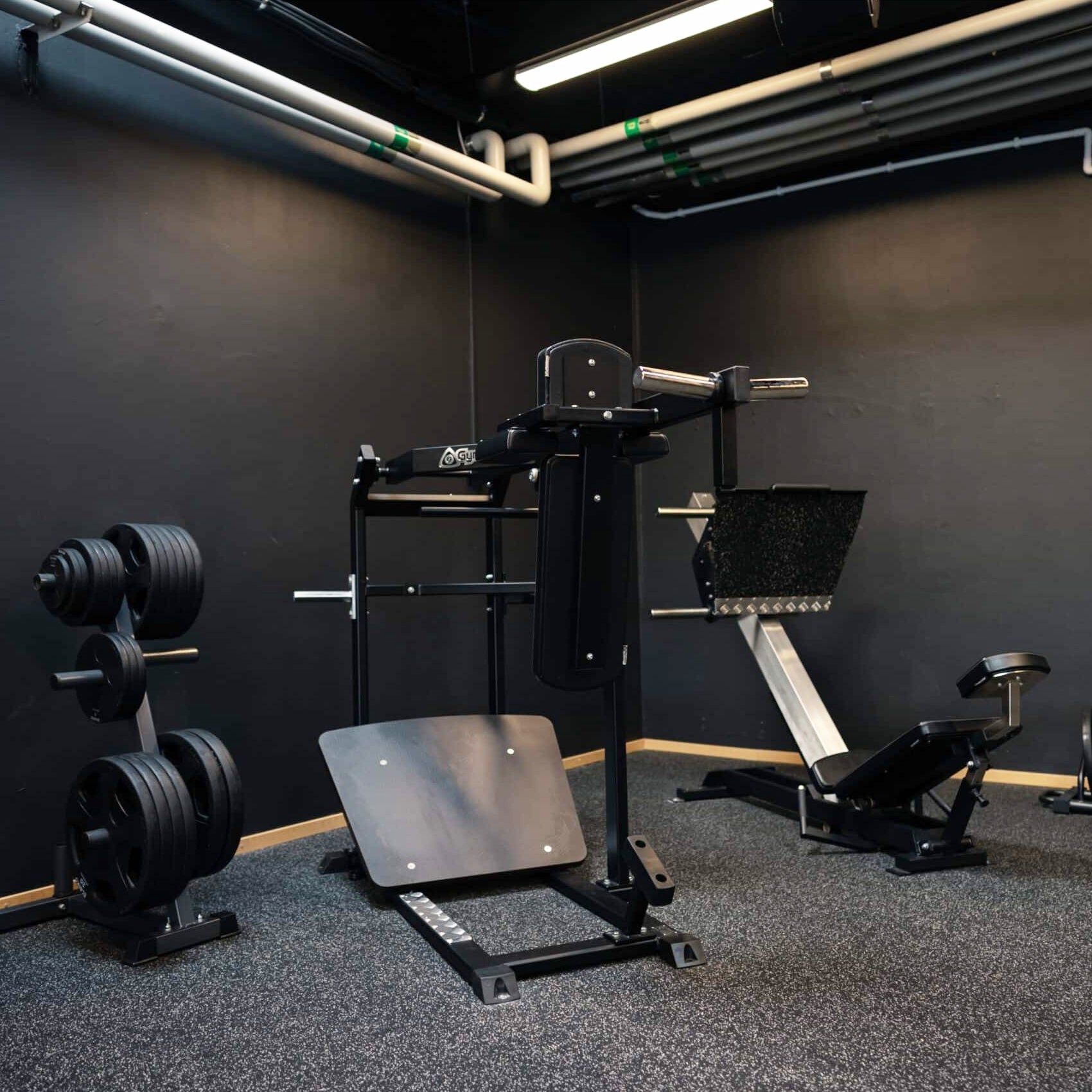 Gymleco Pro Pendulum Squat Machine