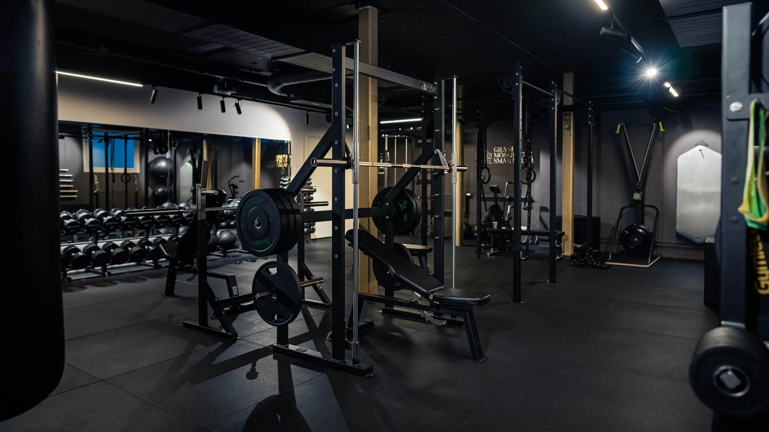 Gymleco 280 Smith Machine