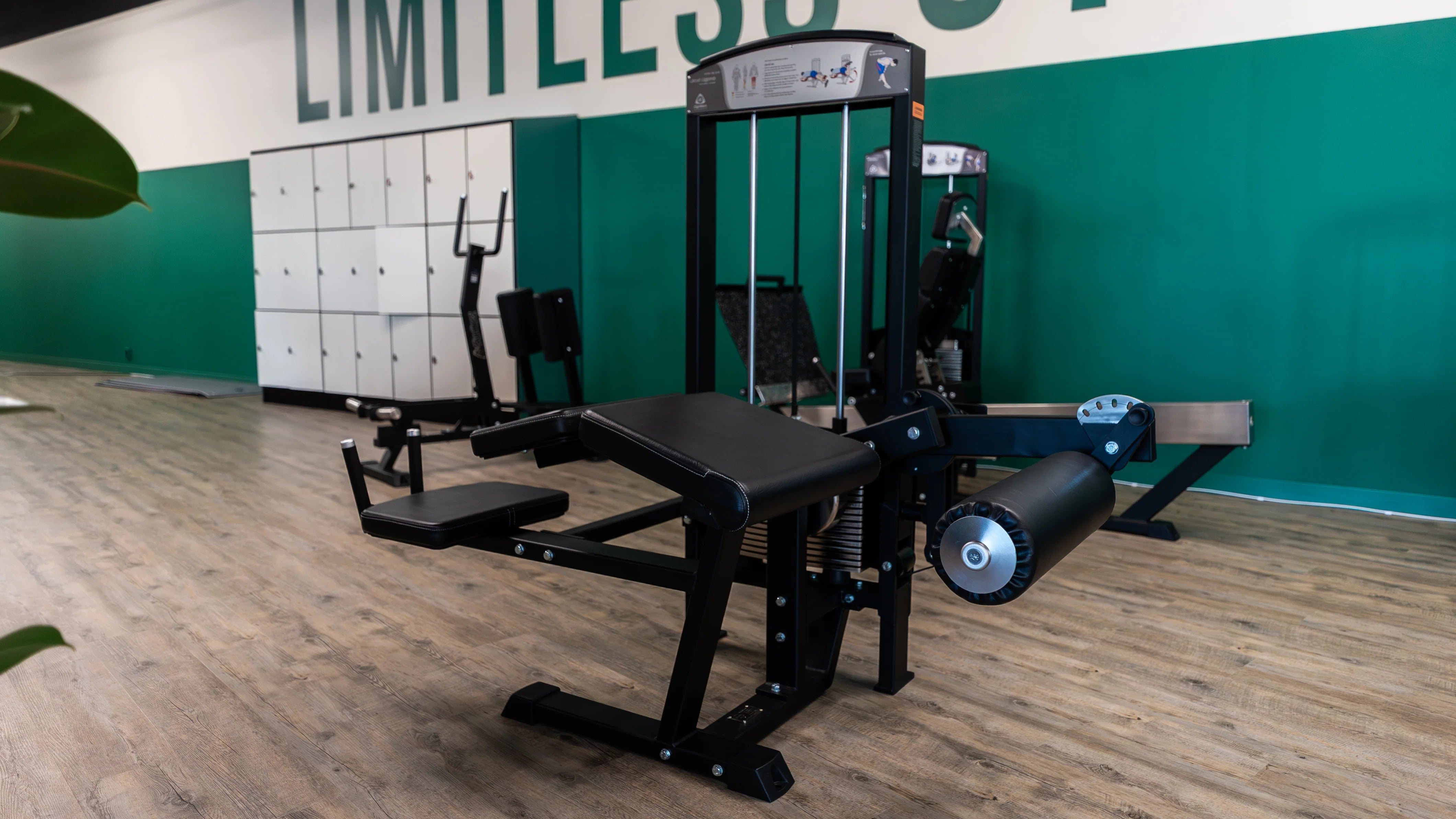Gymleco 342R Lying Leg Curl (Adjustable)