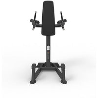 Spirit Fitness SP-4215 Leg Raise / Dip