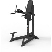 Spirit Fitness SP-4215 Leg Raise / Dip