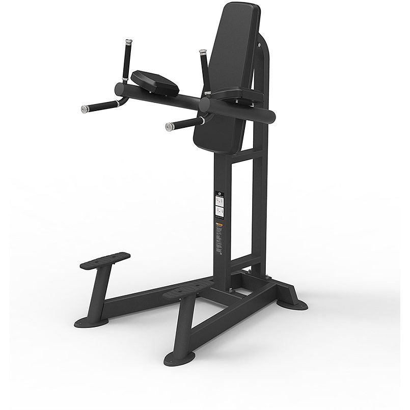 Spirit Fitness SP-4215 Leg Raise / Dip