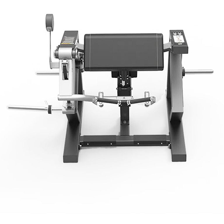 Spirit Fitness Biceps Curl