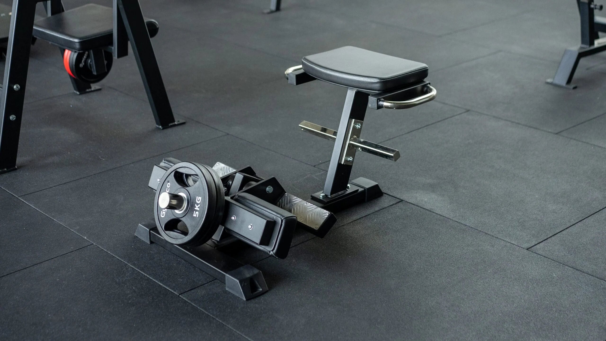 Gymleco 047 Tibia Dorsi Flexion Machine
