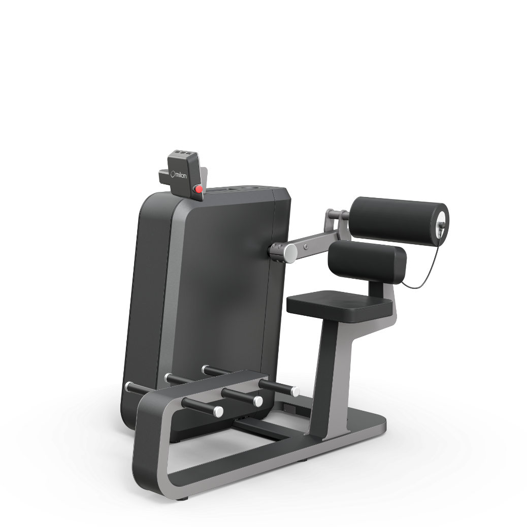 milon Q Back Extension