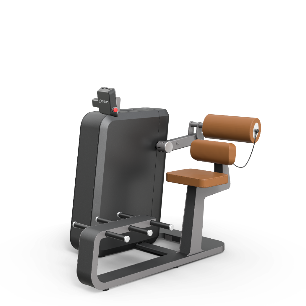milon Q Back Extension